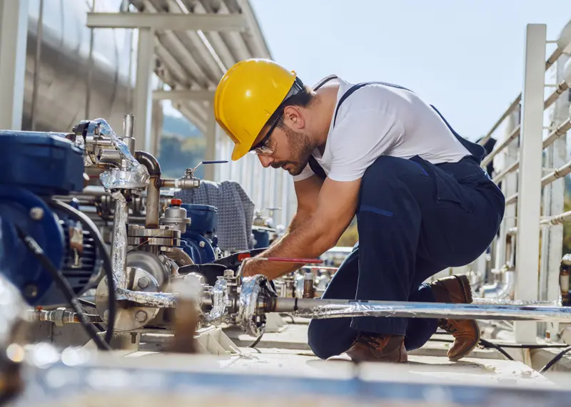 Negocios basados en economía circular